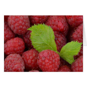 Framboise