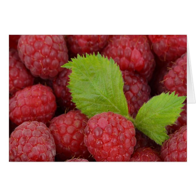Framboise (Devant horizontal)