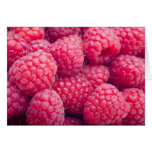 Framboises fraîches