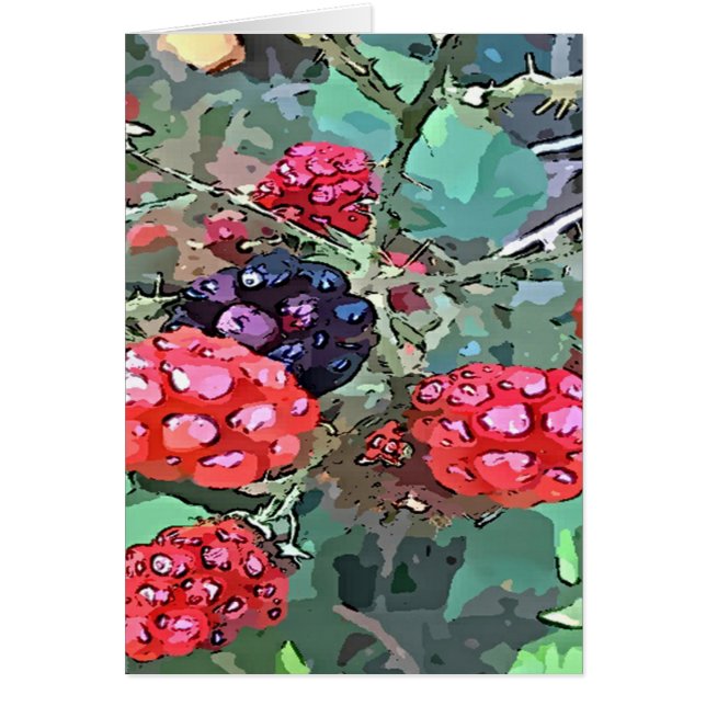 Framboises rouges et noires (Devant)