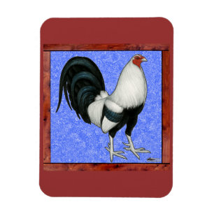 Framed Gamecock Magnet