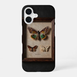 Framed Moth Specimen Dark Academia Case