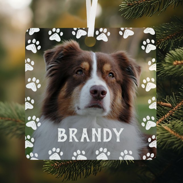 Framed Pet Name 2 Photo Metal Ornament (Creator Uploaded)