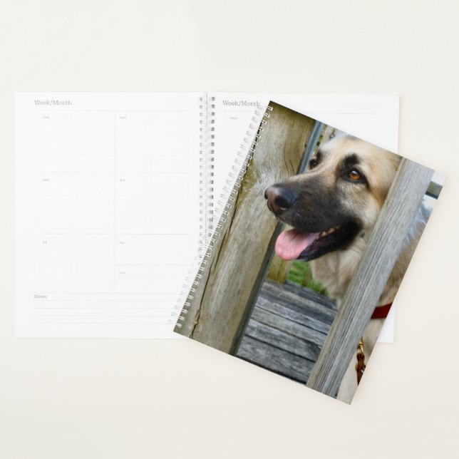 Framed Planner (Display)