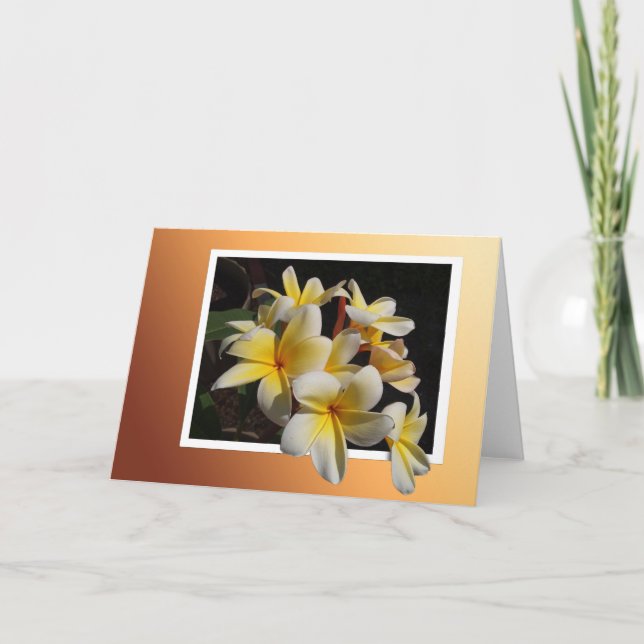 Framed Pulmeria Card (Front)