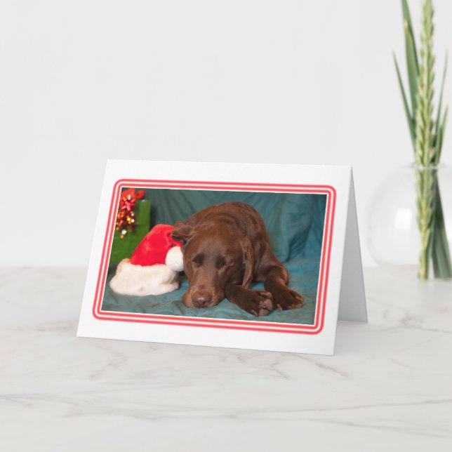 Framed Sleeping Chocolate Lab With Santa Hat Photo Holiday Card (Front)