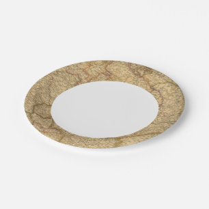 France 23 paper plate