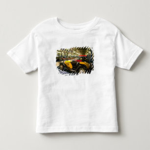 FRANCE, Alsace (Haut Rhin), Mulhouse: Musee 2 Toddler T-shirt