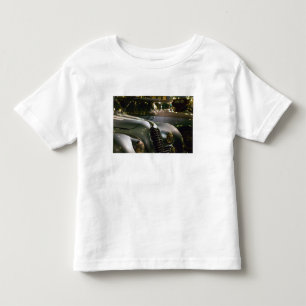FRANCE, Alsace (Haut Rhin), Mulhouse: Musee 3 Toddler T-shirt