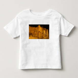 France, Avignon, Provence, Papal Palace at night 2 Toddler T-shirt