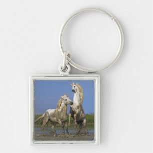 France, Bouches du Rhone, Natural Regional Park Keychain