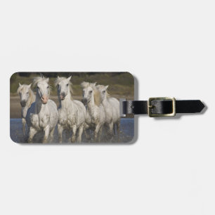 France, Camargue. Horses run Luggage Tag