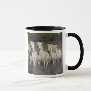France, Camargue. Horses run Mug