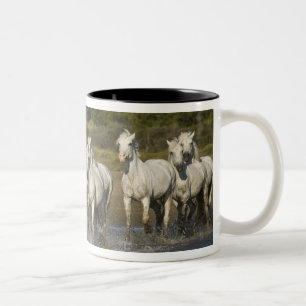 France, Camargue. Horses run through the estuary 3 Two-Tone Coffee Mug