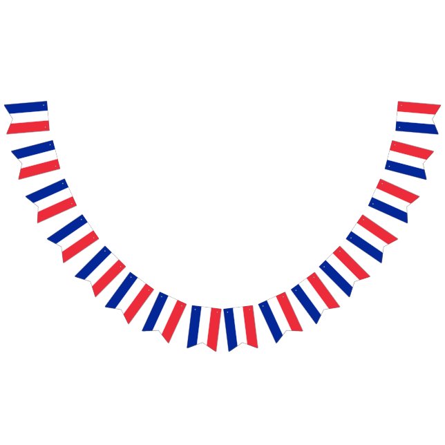 France Flag (All)
