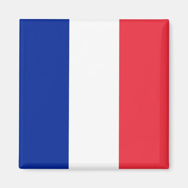 France Flag Magnet (Front)