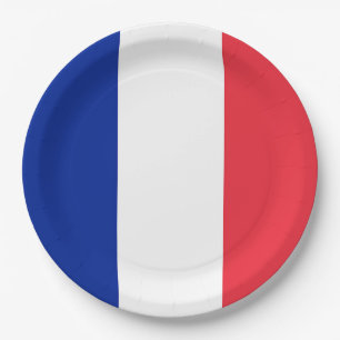 France Flag Paper Plate