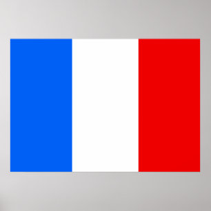 France Flag Poster