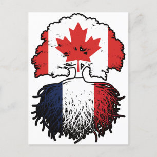 France French Canadian Canada Tree Roots Flag Postcard