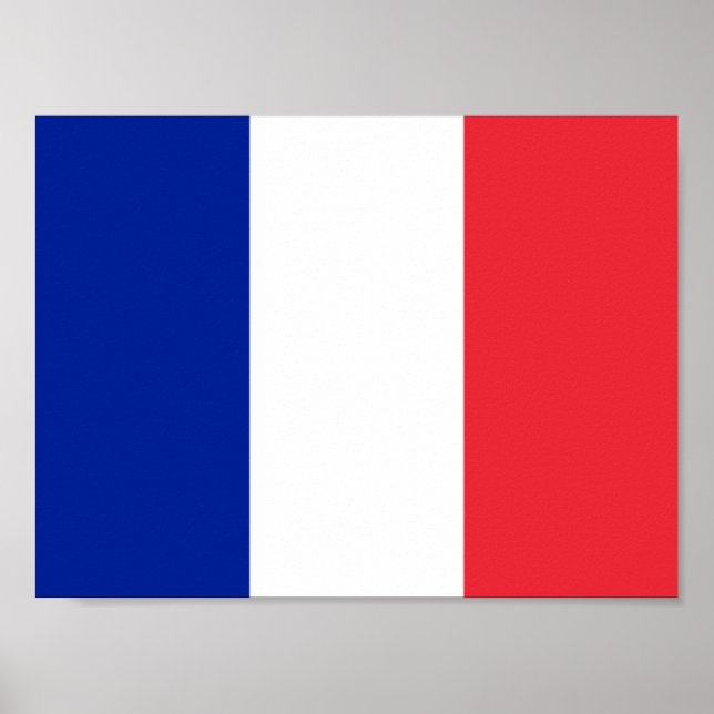 France French Flag Poster (Front)
