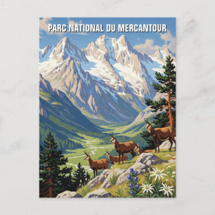 France Mercantour National Park Travel Postcard