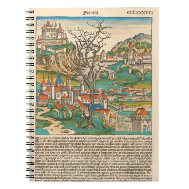 France Nuremberg Chronique 1493 Ancien livre médié (Devant)