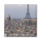 France, Paris, cityscape with Eiffel Tower