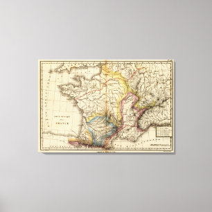 France physique canvas print