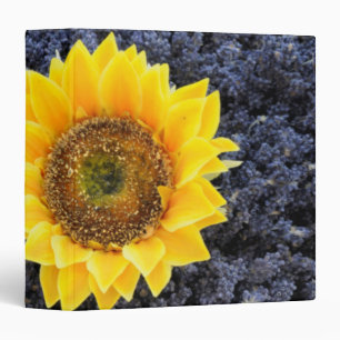 France, Provence-Alpes-Cote d'Azur Binder