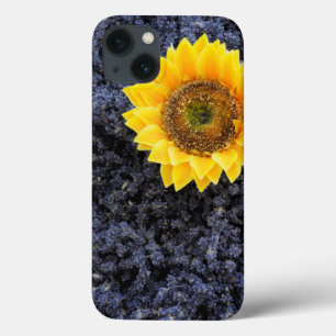 France, Provence-Alpes-Cote d'Azur iPhone 13 Case