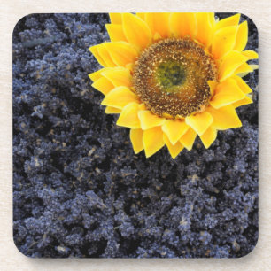 France, Provence-Alpes-Cote d'Azur Coaster