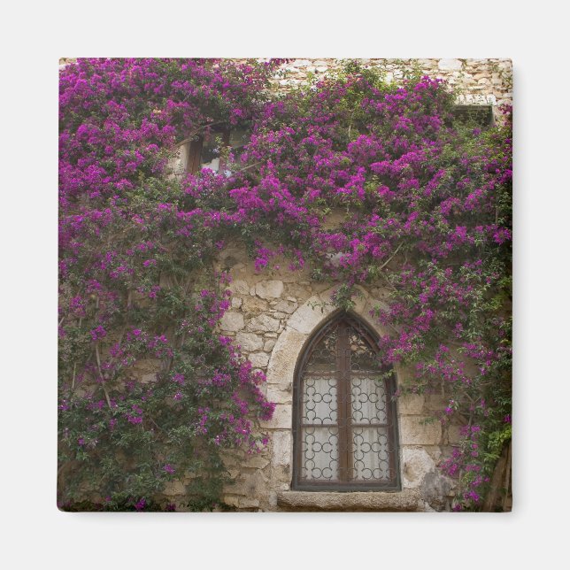 France, Provence, Eze. Bright pink Magnet (Front)