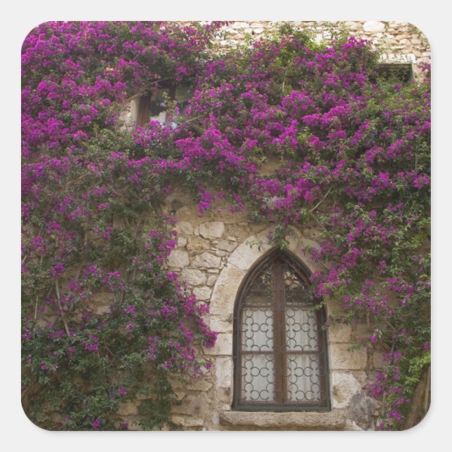 France, Provence, Eze. Bright pink Square Sticker (Front)