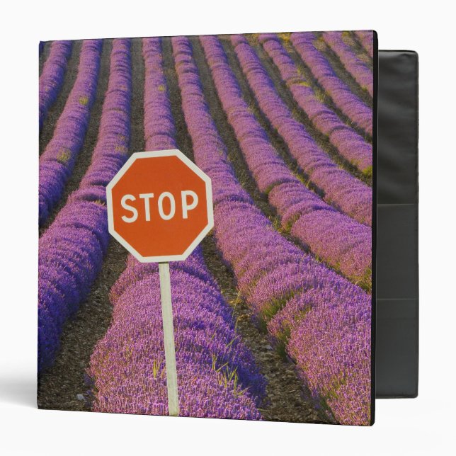 France, Provence. Rows of lavender and stop Binder (Front/Inside)