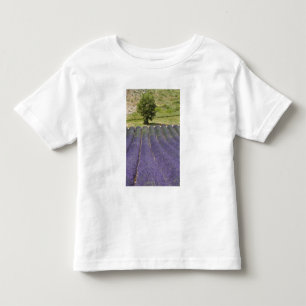 France, Provence. Rows of lavender in bloom. Toddler T-shirt