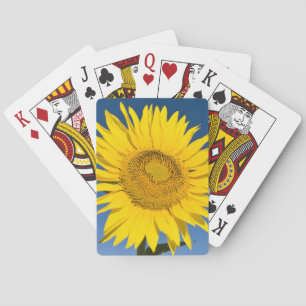 France, Provence, Valensole. Sunflowers stand Playing Cards