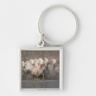 France, Provence. White Camargue horses running Keychain