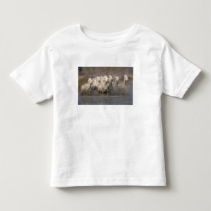 France, Provence. White Camargue horses running Toddler T-shirt