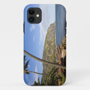 France, Reunion Island, St-Denis, view of La iPhone 11 Case