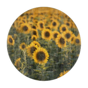 France, Vaucluse, sunflowers field Cutting Board