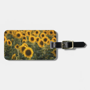 France, Vaucluse, sunflowers field Luggage Tag