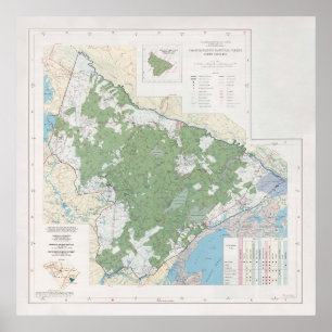 Francis Marion National Forest Map (1981)  Poster