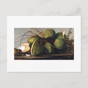 Francisco Oller Cocos Postcard