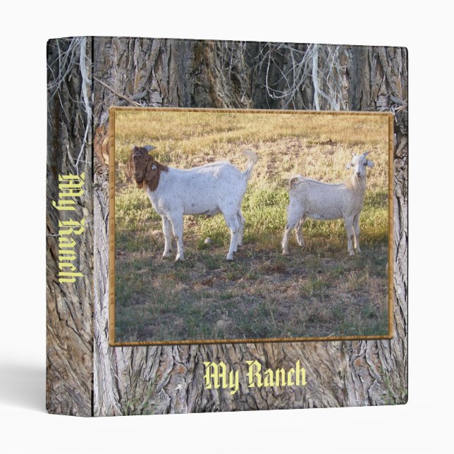 Franco and Friend Binder (Front/Spine)