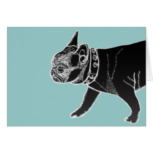 Francois le bouledogue français