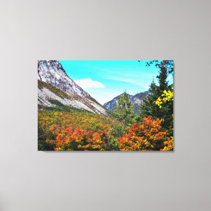 Franconia Notch Canvas Print