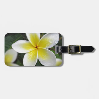 Frangipani And Raindrops luggage tag