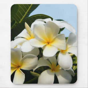Frangipani Bliss Mouse Pad