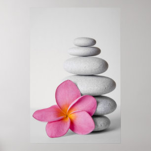 Frangipani Calm Poster