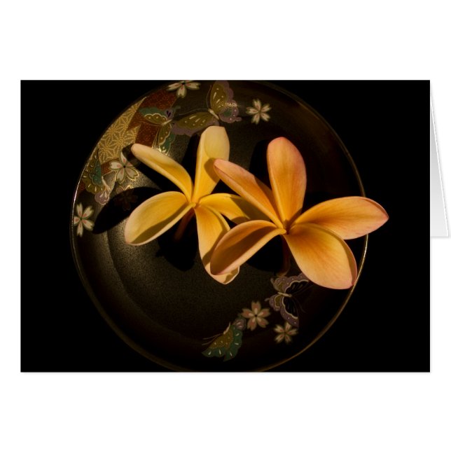 Frangipani Card (Front Horizontal)